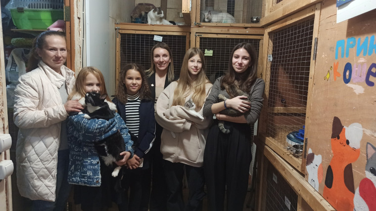 Благотворительная акция «ДоброКОТ».